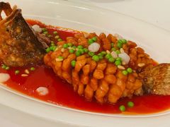 松鼠桂鱼-福1039(愚园路店)