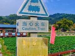 -红山村