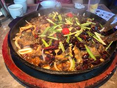 -老板恋上鱼(恒隆广场店)