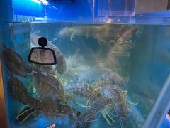 -協成海鮮火鍋(老店)