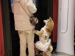 -猫色咖啡·猫咖