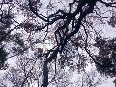-绮园景区
