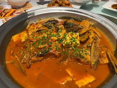 乾隆鱼头-乾隆美食·本帮菜(黄河路店)