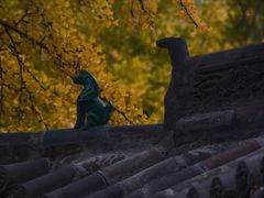 -晋祠公园
