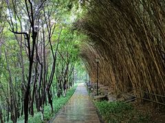 -龙头寺公园