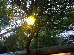 android_upload_pic-新竹里馆·花园餐厅(兴苑路店)