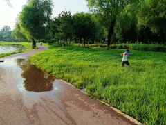 -丁香湖公园
