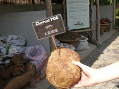 -大象粑粑造纸公园