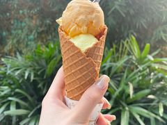 甜筒雪糕双球-成裕雪糕店(士多店)