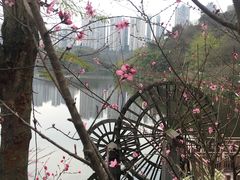 -重庆彩云湖湿地公园