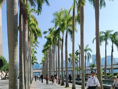 -海港城