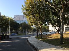 -同济大学(嘉定校区)