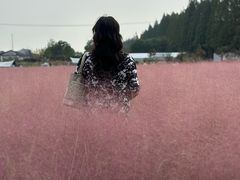 -嘉北郊野公园