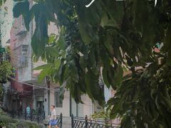 -小洲村