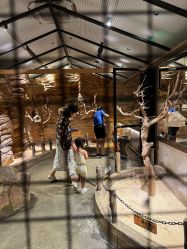 -造物庄园 萌宠纪(苏州湾歌林公园店)