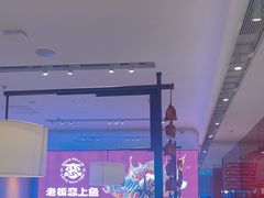 -老板恋上鱼(恒隆广场店)