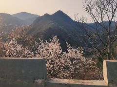 -十三陵水库
