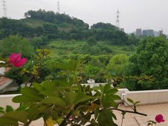 -重庆长寿碧桂园凤悦凤凰酒店