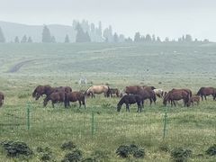 -新疆那拉提国家旅游度假区