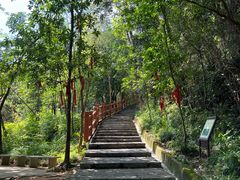 -广州白江湖森林公园