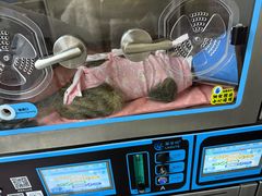 -谐和益家动物医院·免疫绝育·血液透析·宠保定点医院(高新伊藤分院)