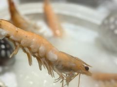 -丰尔粥食·粥底火锅·桑拿鸡(大良总店)