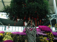 -南通洲际绿博园