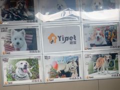 -翊宠yipet猫狗购宠庄园犬舍•猫舍