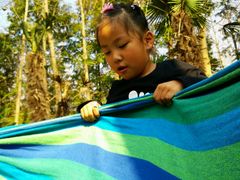 -合肥滨湖国家森林公园