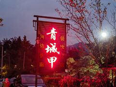 -青城甲(青城山店)