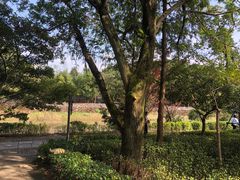 -兰亭风景区