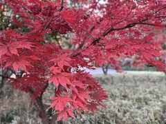 -苏州河梦清园环保主题公园