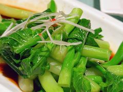 -松鹤楼(山塘街店)