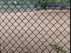 -北京麋鹿生态实验中心