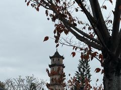 -江心屿景区