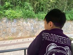 -巢湖姥山岛