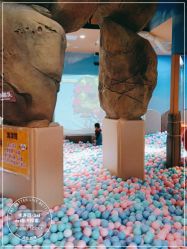 -卡通尼·Safari非洲探索乐园·生日会(金桥国际商业广场店)