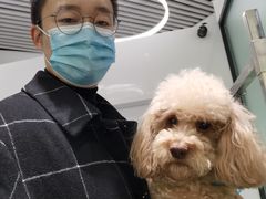 -柿子树炭烤羊腿(金台路店)