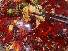 -老表牌·蛙蛙鸡冷锅鱼(成都东站店)
