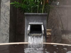-弘安丽水温泉酒店
