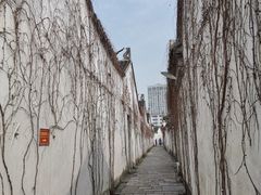 -青果巷历史文化街区