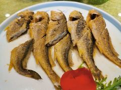 -宋园·金宴浙鲜馆(静安店)