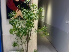 -天真蓝照相馆(五角场百联又一城店)