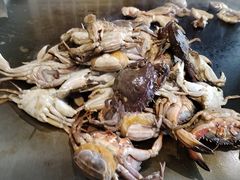 -悦巷海鲜自助铁板烧(秦皇东大街店)