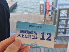 -金鸡湖游船(月光码头)