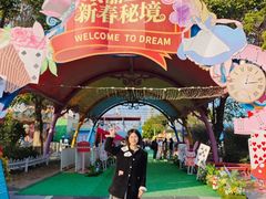 -巨鹏飞梦幻海岸