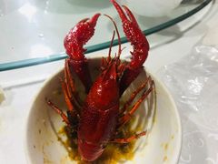-恋拐子油爆虾·家常菜