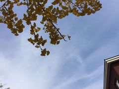 -辽宁大学(崇山校区)