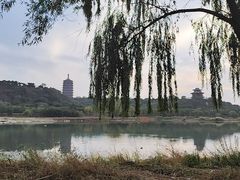 -永定河休闲森林公园