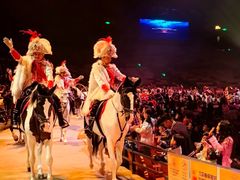 -广州长隆国际大马戏